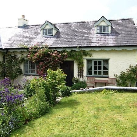 Parc Y Brenin Villa Dryslwyn Bagian luar foto