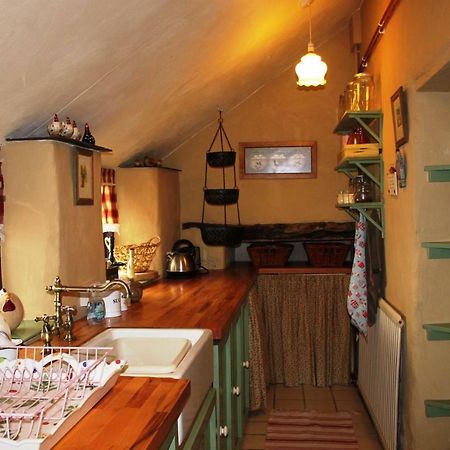 Parc Y Brenin Villa Dryslwyn Bagian luar foto