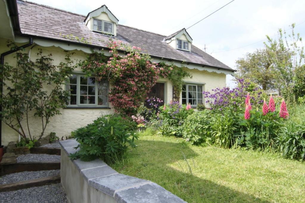 Parc Y Brenin Villa Dryslwyn Bagian luar foto
