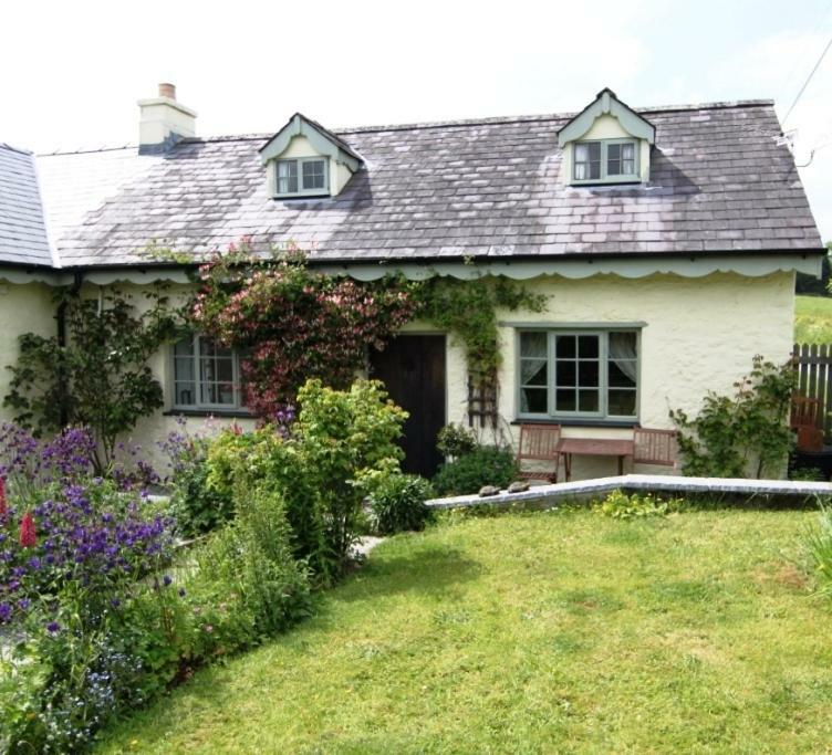 Parc Y Brenin Villa Dryslwyn Bagian luar foto